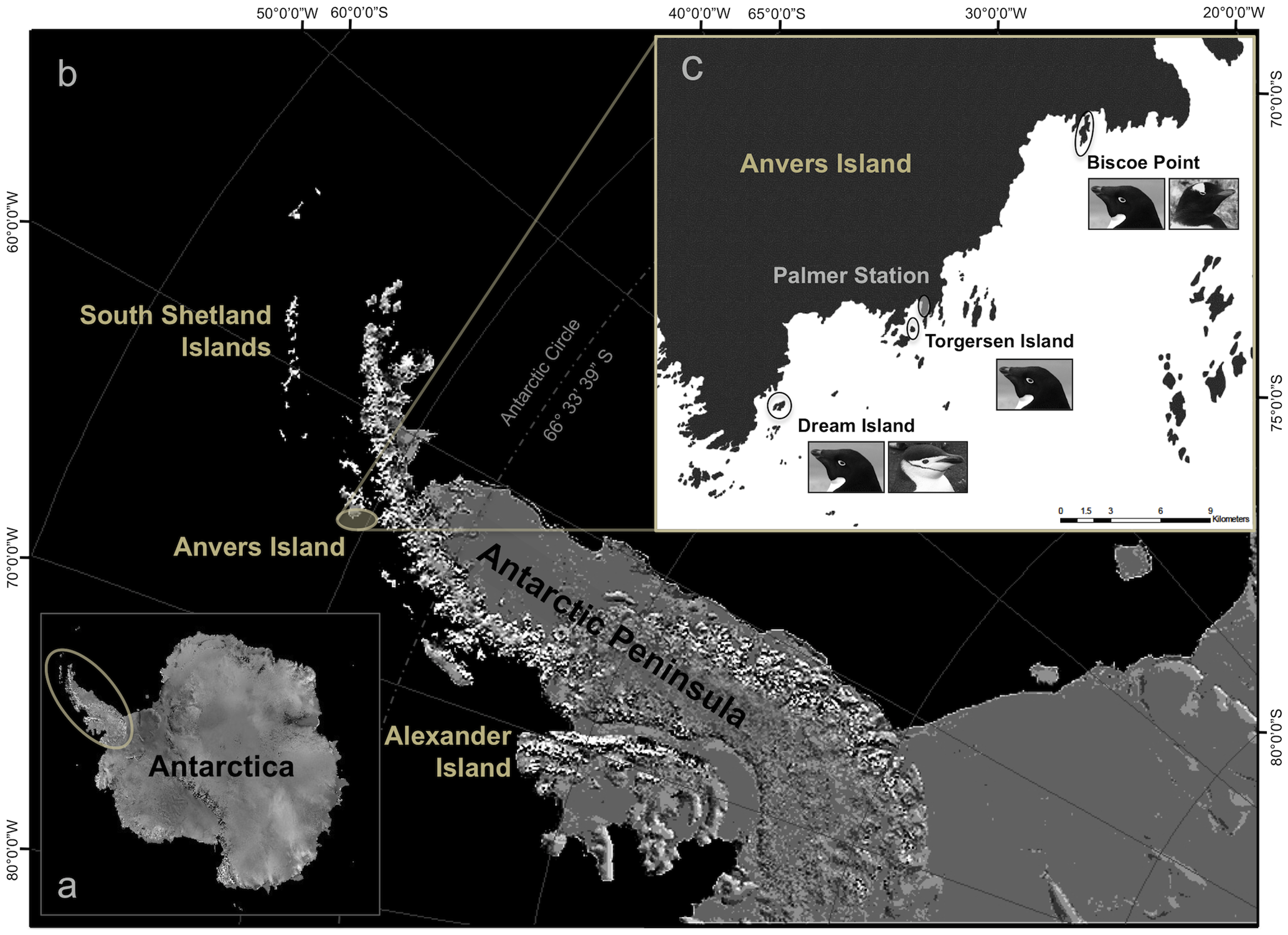 3 study sites on a map of Antarctic Peninsula