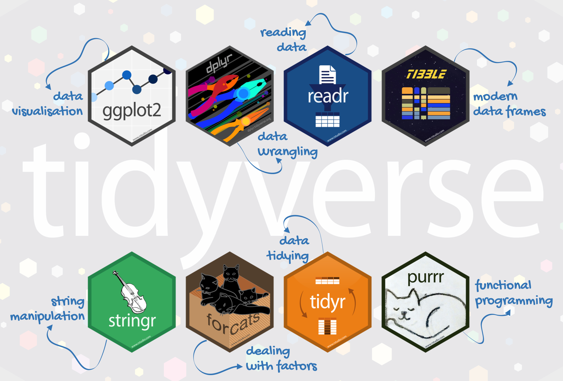 Data importing packages. Tidyverse. R package. Hexagonal logo.